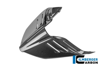 Carbon Ilmberger Monoposto Sitz  Ducati Streetfighter V4