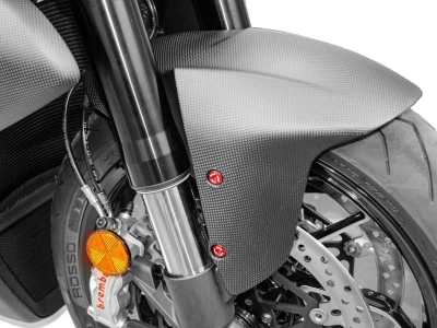 Ducabike Schrauben Set Vorderradabdeckung Ducati Diavel V4
