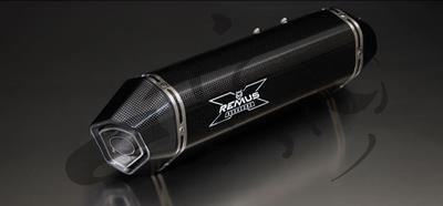 Exhaust Remus Hexacone Triumph Tiger 800