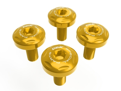 Ducabike Seitenabdeckung Schrauben Kit BMW R 1300 GS