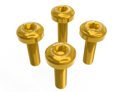 Ducabike Windsreen Schrauben Kit BMW R 1300 GS