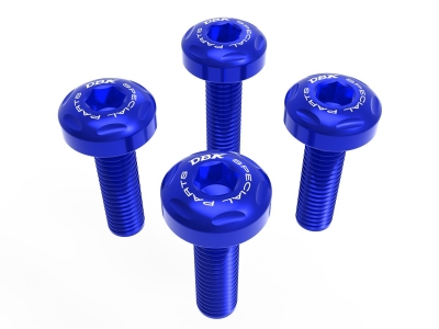 Ducabike Windsreen Schrauben Kit BMW R 1300 GS