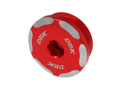 Ducabike Abdeckkappe BMW S 1000 RR