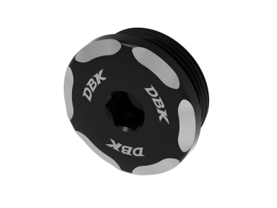 Ducabike Abdeckkappe BMW S 1000 RR