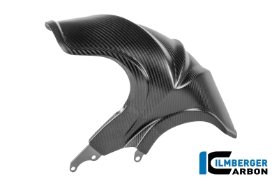 Carbon Ilmberger Hinterradabdeckung BMW R 1300 R