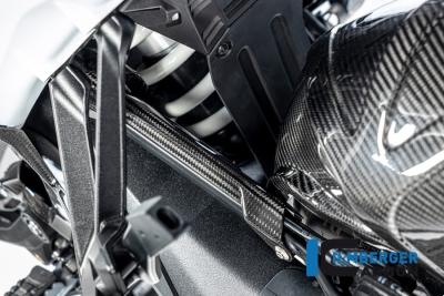 Carbon Ilmberger Bremsleitungsabdeckung BMW R 1300 R