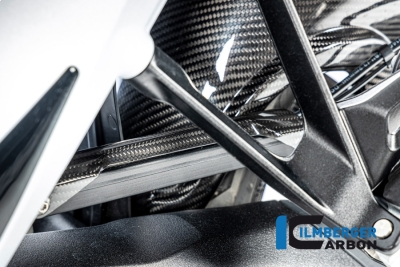 Carbon Ilmberger Bremsleitungsabdeckung BMW R 1300 R