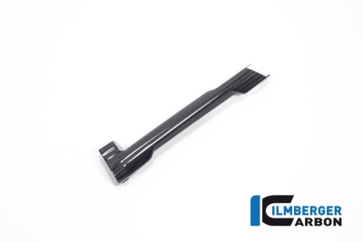 Carbon Ilmberger Bremsleitungsabdeckung BMW R 1300 R