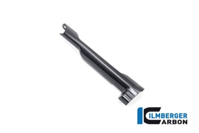 Carbon Ilmberger Bremsleitungsabdeckung BMW R 1300 R