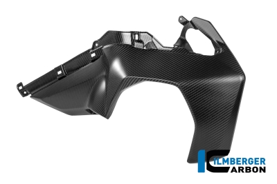 Carbon Ilmberger Luftauslassverkleidung BMW R 1300 R