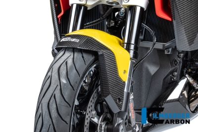 Carbon Ilmberger Vorderradabdeckung BMW R 1300 RS