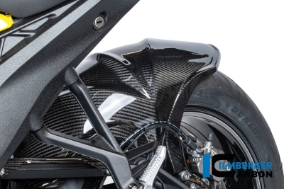 Carbon Ilmberger Hinterradabdeckung BMW R 1300 RS