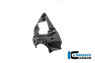Carbon Ilmberger Airboxabdeckung BMW R12 Nine T