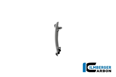 Carbon Ilmberger Coperchio del tubo del freno BMW R12 Nine T