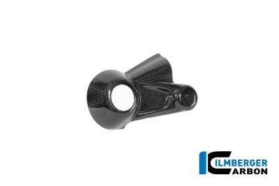 Carbon Ilmberger Kardangeh�useabdeckung BMW R12 Nine T