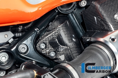 Carbon Ilmberger Coperchio di ventilazione del serbatoio Tankentl�ftungabdeckung BMW R12 Nine T