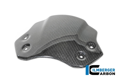 Carbon Ilmberger Windschild BMW R12 Nine T