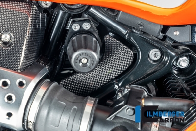 Carbon Ilmberger Werkzeugkastenabdeckung BMW R12 Nine T