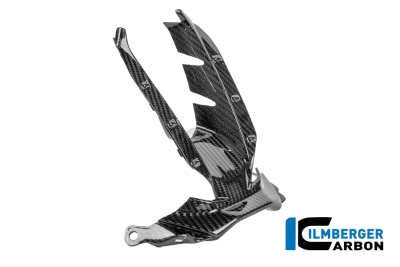 Carbon Ilmberger Lufteinlass BMW M 1000 RR