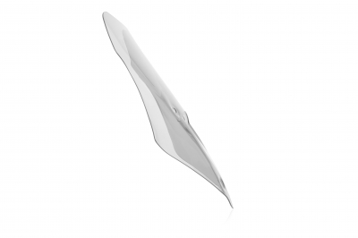 WRS Caponord Windschild Ducati Multistrada V2