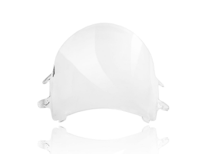 WRS Race Windschild Honda CBR 600 RR