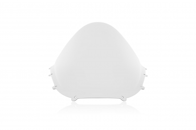 WRS Race Windschild Ducati Panigale V4