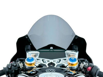 WRS Race Windschild Ducati Panigale V4