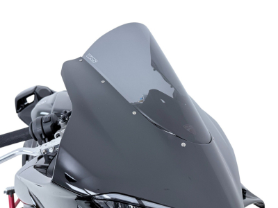 WRS Race Windschild Ducati Panigale V4