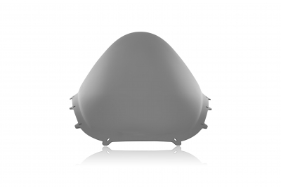 WRS Race Windschild Ducati Panigale V4