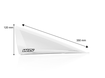 WRS Race Windschild Aprilia RS 457