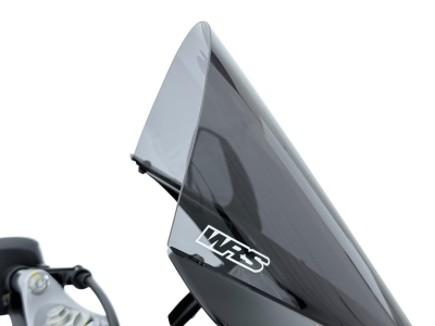 WRS Race Windschild Aprilia RS 457