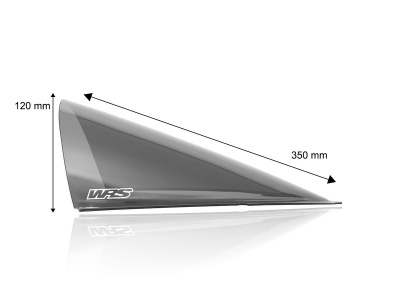 WRS Race Windschild Aprilia RS 457