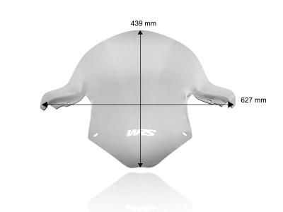 WRS Race Windschild BMW S 1000 RR