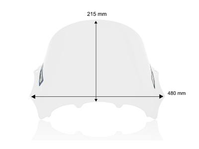 WRS Race Windschild BMW M 1000 RR