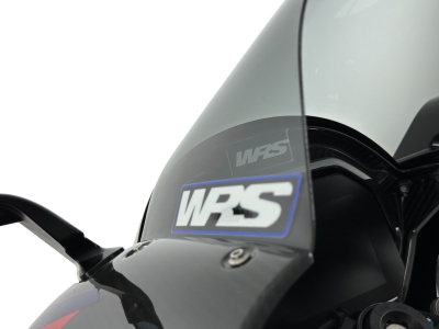WRS Race Windschild BMW M 1000 RR
