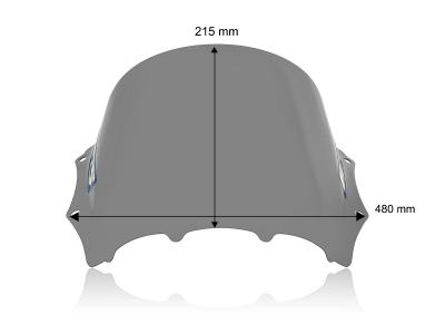 WRS Race Windschild BMW M 1000 RR
