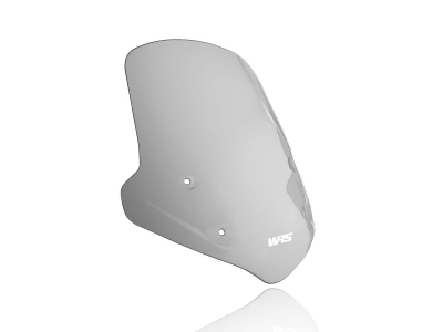 WRS Standard Windschild BMW R 1250 R