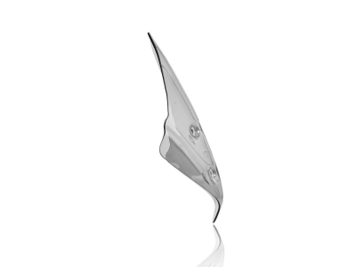 WRS Standard Windschild BMW R 1250 R