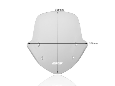 WRS Standard Windschild BMW R 1250 R