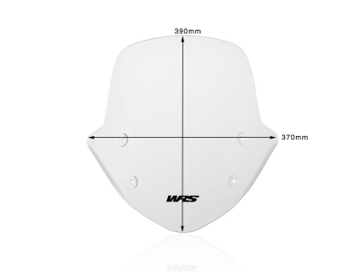 WRS Standard Windschild BMW R 1250 R
