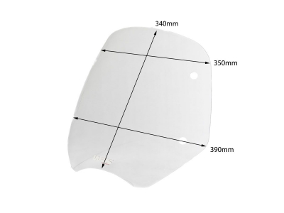 WRS Standard Windschild BMW R 1200 R