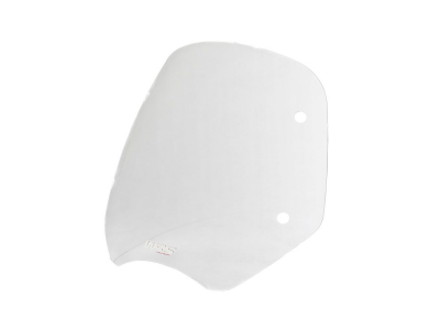 WRS Standard Windschild BMW R 1200 R