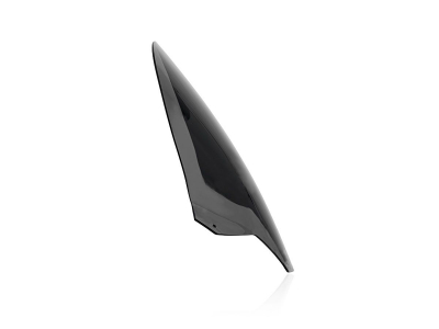 WRS Sport Windschild Aprilia Tuono 660