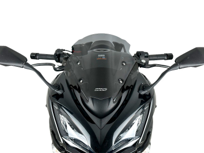 WRS Sport Windschild Kawasaki Ninja 1000 SX