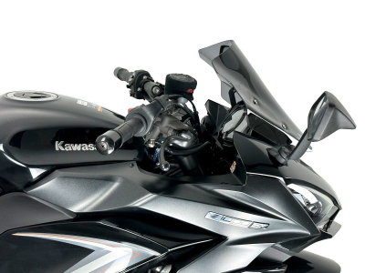WRS Sport Windschild Kawasaki Ninja 1000 SX