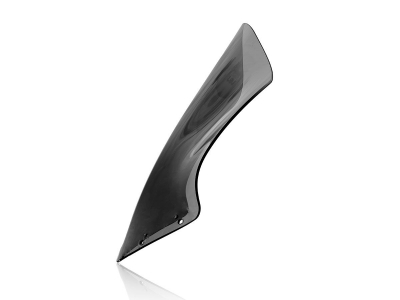WRS Sport Windschild BMW R 1100 S