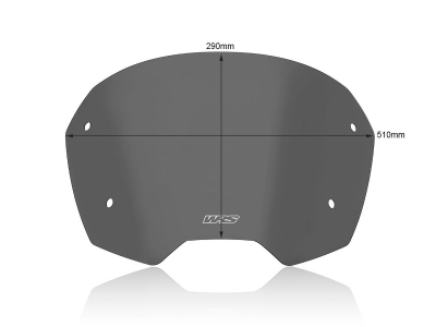 WRS Sport Windschild Kymco People S 125