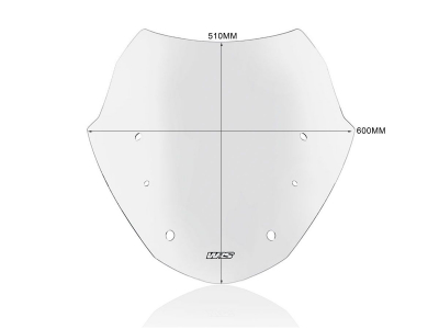 WRS Sport Windschild BMW R 1200 RT