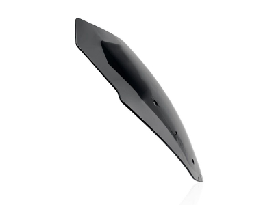 WRS Sport Windschild BMW R 1200 RT