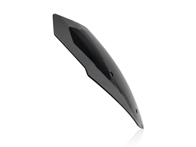 WRS Sport Windschild BMW R 1250 RT